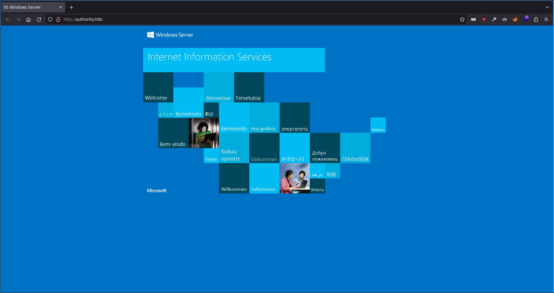 Default IIS website picture